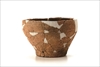 FileNo.215-550.jpg