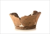 FileNo.215-555.jpg