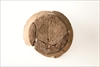 FileNo.215-556.jpg