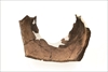 FileNo.215-582.jpg