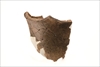 FileNo.215-583.jpg
