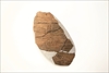 FileNo.215-587.jpg