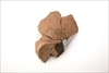 FileNo.215-591.jpg