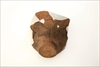 FileNo.215-595.jpg