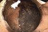 FileNo.215-603.jpg