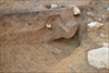 FileNo.218-004.jpg