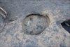 FileNo.218-042.jpg