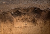 FileNo.218-043.jpg