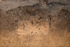 FileNo.218-048.jpg