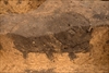 FileNo.218-049.jpg