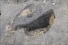 FileNo.218-050.jpg