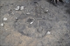 FileNo.218-054.jpg