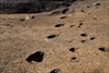 FileNo.218-059.jpg