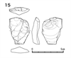 図版 218-JS15.png