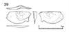 図版 218-JS29.png