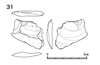 図版 218-JS31.png