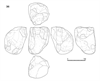 図版 218-JS36.png