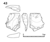 図版 218-JS43.png
