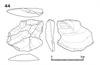 図版 218-JS44.png