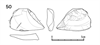 図版 218-JS50.png