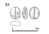 図版 218-JS51.png
