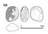 図版 218-JS58.png