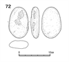 図版 218-JS72.png