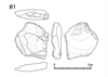 図版 218-JS81.png