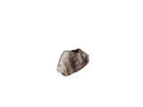 FileNo.221-069.png