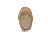 FileNo.221-099.png