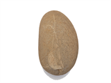 FileNo.221-101.png
