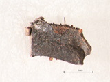 FileNo.221-104.png