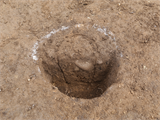 FileNo.221-052.png