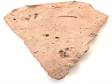 FileNo.221-129.png