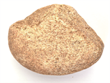 FileNo.221-155.png