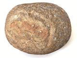 FileNo.221-158.png