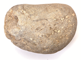 FileNo.221-161.png