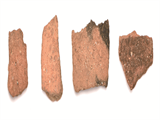 FileNo.221-164.png