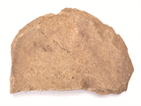 FileNo.221-173.png