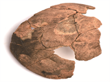 FileNo.221-182.png