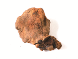 FileNo.221-192.png