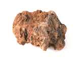 FileNo.221-193.png
