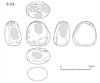図版 S-33.png